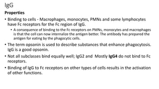 IgG
Properties
• Binding to cells - Macrophages, monocytes, PMNs and some lymphocytes
have Fc receptors for the Fc region of IgG.
• A consequence of binding to the Fc receptors on PMNs, monocytes and macrophages
is that the cell can now internalize the antigen better. The antibody has prepared the
antigen for eating by the phagocytic cells.
• The term opsonin is used to describe substances that enhance phagocytosis.
IgG is a good opsonin.
• Not all subclasses bind equally well; IgG2 and Mostly IgG4 do not bind to Fc
receptors.
• Binding of IgG to Fc receptors on other types of cells results in the activation
of other functions.
 