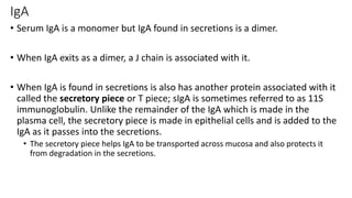 IgA
• Serum IgA is a monomer but IgA found in secretions is a dimer.
• When IgA exits as a dimer, a J chain is associated with it.
• When IgA is found in secretions is also has another protein associated with it
called the secretory piece or T piece; sIgA is sometimes referred to as 11S
immunoglobulin. Unlike the remainder of the IgA which is made in the
plasma cell, the secretory piece is made in epithelial cells and is added to the
IgA as it passes into the secretions.
• The secretory piece helps IgA to be transported across mucosa and also protects it
from degradation in the secretions.
 