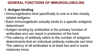 GENERAL FUNCTIONS OF IMMUNOGLOBULINS
1. Antigen binding
• Immunoglobulins bind specifically to one or a few closely
related antigens.
• Each immunoglobulin actually binds to a specific antigenic
determinant.
• Antigen binding by antibodies is the primary function of
antibodies and can result in protection of the host.
• The valency of antibody refers to the number of antigenic
determinants that an individual antibody molecule can bind.
The valency of all antibodies is at least two and in some
instances more.
 