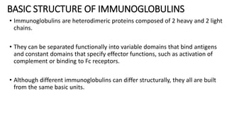 BASIC STRUCTURE OF IMMUNOGLOBULINS
• Immunoglobulins are heterodimeric proteins composed of 2 heavy and 2 light
chains.
• They can be separated functionally into variable domains that bind antigens
and constant domains that specify effector functions, such as activation of
complement or binding to Fc receptors.
• Although different immunoglobulins can differ structurally, they all are built
from the same basic units.
 