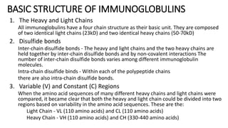 BASIC STRUCTURE OF IMMUNOGLOBULINS
1. The Heavy and Light Chains
All immunoglobulins have a four chain structure as their basic unit. They are composed
of two identical light chains (23kD) and two identical heavy chains (50-70kD)
2. Disulfide bonds
Inter-chain disulfide bonds - The heavy and light chains and the two heavy chains are
held together by inter-chain disulfide bonds and by non-covalent interactions The
number of inter-chain disulfide bonds varies among different immunoglobulin
molecules.
Intra-chain disulfide binds - Within each of the polypeptide chains
there are also intra-chain disulfide bonds.
3. Variable (V) and Constant (C) Regions
When the amino acid sequences of many different heavy chains and light chains were
compared, it became clear that both the heavy and light chain could be divided into two
regions based on variability in the amino acid sequences. These are the:
Light Chain - VL (110 amino acids) and CL (110 amino acids)
Heavy Chain - VH (110 amino acids) and CH (330-440 amino acids)
 