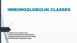 IMMUNOGLOBULIN CLASSES
R. RENUKA, M.SC.,M.PHIL.,PH.D.
ASSOCIATE PROFESSOR OF BIOCHEMISTRY,
V.V.VANNIAPERUMAL COLLEGE FOR WOMEN,
VIRUDHUNAGAR, TAMILNADU, INDIA.
 