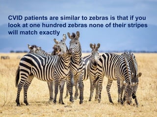 Zebra Cdc Immunoglobulin def.cvid