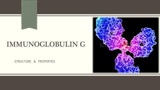 IMMUNOGLOBULIN G
STRUCTURE & PROPERTIES
 