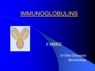 II MBBS
Dr Ekta Chourasia
Microbiology
IMMUNOGLOBULINS
 