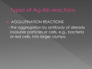  AGGLUTINATION REACTIONS
- the aggregation by antibody of already
 insoluble particles or cells, e.g., bacteria
 or red cells, into larger clumps.
 