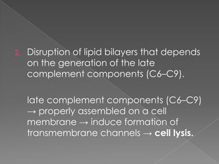 2.   Disruption of lipid bilayers that depends
     on the generation of the late
     complement components (C6–C9).

     late complement components (C6–C9)
     → properly assembled on a cell
     membrane → induce formation of
     transmembrane channels → cell lysis.
 