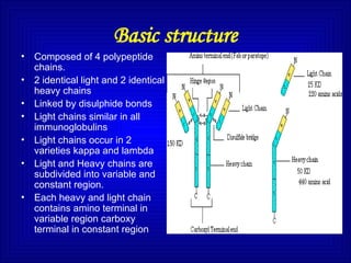 Basic structure
• Composed of 4 polypeptide
chains.
• 2 identical light and 2 identical
heavy chains
• Linked by disulphide bonds
• Light chains similar in all
immunoglobulins
• Light chains occur in 2
varieties kappa and lambda
• Light and Heavy chains are
subdivided into variable and
constant region.
• Each heavy and light chain
contains amino terminal in
variable region carboxy
terminal in constant region
 