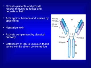 • Crosses placenta and provide
natural immunity to foetus and
neonate at birth
• Acts against bacteria and viruses by
opsonizing
• Neutralize toxin
• Activate complement by classical
pathway
• Catabolism of IgG is unique in that it
varies with its serum concentration
 