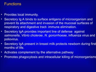 Functions
• Provides local immunity.
• Secretory Ig A binds to surface antigens of microorganism and
prevent its attachment and invasion of the mucosal surfaces of
respiratory and digestive tract- immune elimination.
• Secretory IgA provides important line of defense against
salmonella, Vibrio cholerae, N. gonorrhoeae, influenza virus and
poliovirus.
• Secretory IgA present in breast milk protects newborn during first
months of life.
• Activates complement by the alternative pathway
• Promotes phagocytosis and intracellular killing of microorganisms
 