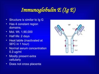 Immunoglobulin E (Ig E)
• Structure is similar to Ig G
• Has 4 constant region
domains.
• Mol. Wt. 1,90,000
• Half life: 2 days
• Heat labile (inactivated at
560
C in 1 hour)
• Normal serum concentration
0.3 ug/ml
• Mostly present extra
cellularly
• Does not cross placenta
 