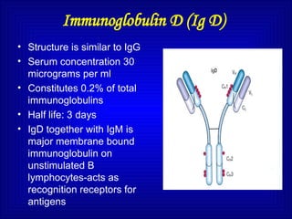 Immunoglobulin D (Ig D)
• Structure is similar to IgG
• Serum concentration 30
micrograms per ml
• Constitutes 0.2% of total
immunoglobulins
• Half life: 3 days
• IgD together with IgM is
major membrane bound
immunoglobulin on
unstimulated B
lymphocytes-acts as
recognition receptors for
antigens
 