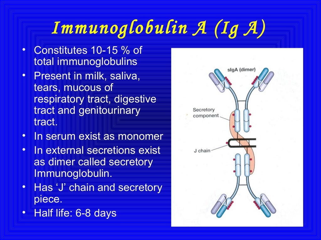 Immunoglobulins Immunoglobulins