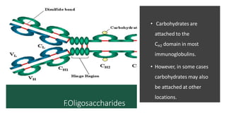 F
.Oligosaccharides
• Carbohydrates are
attached to the
CH2 domain in most
immunoglobulins.
• However, in some cases
carbohydrates may also
be attached at other
locations.
 