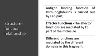 Structure-
function
relationship
Antigen binding function of
Immunoglobulins is carried out
by Fab part,
Effector functions -The effector
functions are mediated by Fc
part of the molecule.
Different functions are
mediated by the different
domains in this fragment.
 