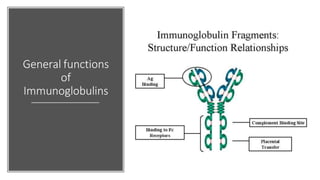 General functions
of
Immunoglobulins
 