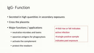 IgG- Function
• Secreted in high quantities in secondary exposures
• Cross the placenta
• Major functions / applications
• neutralize microbes and toxins
• opsonize antigens for phagocytosis
• activate the complement
• protect the newborn
•4-fold rise or fall indicates
active infection
•A single positive sample
indicates past exposure
 