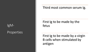 IgM-
Properties
Third most common serum Ig.
First Ig to be made by the
fetus
First Ig to be made by a virgin
B cells when stimulated by
antigen
 