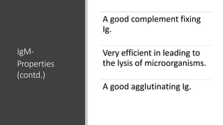IgM-
Properties
(contd.)
A good complement fixing
Ig.
Very efficient in leading to
the lysis of microorganisms.
A good agglutinating Ig.
 