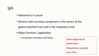 IgA
• Monomeric in serum
• Dimeric with secretory component in the lumen of the
gastro-intestinal tract and in the respiratory tract
• Major function / application
• neutralizes microbes and toxins
•Sero-diagnosis of
tuberculosis
•Respiratory syncytial
virus tests
 