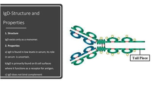 IgD-Structure and
Properties
1. Structure
IgD exists only as a monomer.
2. Properties
a) IgD is found in low levels in serum; its role
in serum is uncertain.
b)IgD is primarily found on B cell surfaces
where it functions as a receptor for antigen.
c) IgD does not bind complement
 