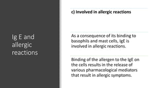 Ig E and
allergic
reactions
c) Involved in allergic reactions
As a consequence of its binding to
basophils and mast cells, IgE is
involved in allergic reactions.
Binding of the allergen to the IgE on
the cells results in the release of
various pharmacological mediators
that result in allergic symptoms.
 