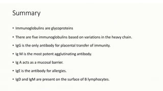 Summary
• Immunoglobulins are glycoproteins
• There are five immunoglobulins based on variations in the heavy chain.
• IgG is the only antibody for placental transfer of immunity.
• Ig M is the most potent agglutinating antibody.
• Ig A acts as a mucosal barrier.
• IgE is the antibody for allergies.
• IgD and IgM are present on the surface of B lymphocytes.
 