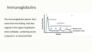 Immunoglobulins
The immunoglobulins derive their
name from the finding that they
migrate in the region of globulins
when antibody- containing serum
is placed in an electrical field.
 