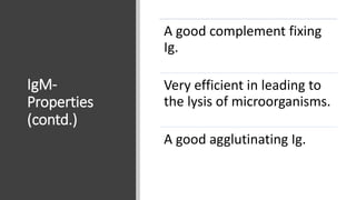 IgM-
Properties
(contd.)
A good complement fixing
Ig.
Very efficient in leading to
the lysis of microorganisms.
A good agglutinating Ig.
 