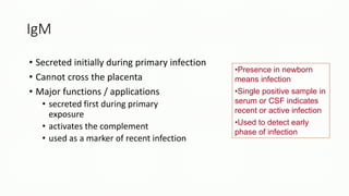 IgM
• Secreted initially during primary infection
• Cannot cross the placenta
• Major functions / applications
• secreted first during primary
exposure
• activates the complement
• used as a marker of recent infection
•Presence in newborn
means infection
•Single positive sample in
serum or CSF indicates
recent or active infection
•Used to detect early
phase of infection
 