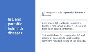 Ig E and
parasitic
helminth
diseases
IgE also plays a role in parasitic helminth
diseases.
Since serum IgE levels rise in parasitic
diseases, measuring IgE levels is helpful in
diagnosing parasitic infections.
Eosinophils have Fc receptors for IgE and
binding of eosinophils to IgE-coated
helminths results in killing of the parasite.
 