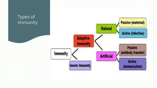 Types of
immunity
 