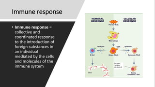 Immune response
• Immune response =
collective and
coordinated response
to the introduction of
foreign substances in
an individual
mediated by the cells
and molecules of the
immune system
 
