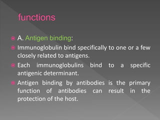  A. Antigen binding:
 Immunoglobulin bind specifically to one or a few
closely related to antigens.
 Each immunoglobulins bind to a specific
antigenic determinant.
 Antigen binding by antibodies is the primary
function of antibodies can result in the
protection of the host.
 