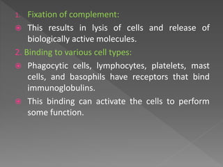 1. Fixation of complement:
 This results in lysis of cells and release of
biologically active molecules.
2. Binding to various cell types:
 Phagocytic cells, lymphocytes, platelets, mast
cells, and basophils have receptors that bind
immunoglobulins.
 This binding can activate the cells to perform
some function.
 