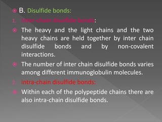  B. Disulfide bonds:
1. Inter-chain disulfide bonds:
 The heavy and the light chains and the two
heavy chains are held together by inter chain
disulfide bonds and by non-covalent
interactions.
 The number of inter chain disulfide bonds varies
among different immunoglobulin molecules.
2. intra-chain disulfide bonds:
 Within each of the polypeptide chains there are
also intra-chain disulfide bonds.
 