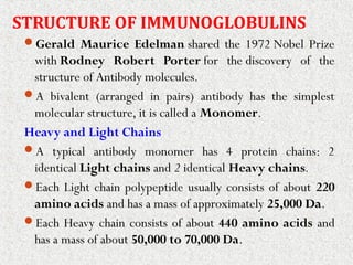 STRUCTURE OF IMMUNOGLOBULINS
Gerald Maurice Edelman shared the 1972 Nobel Prize
with Rodney Robert Porter for the discovery of the
structure of Antibody molecules.
A bivalent (arranged in pairs) antibody has the simplest
molecular structure, it is called a Monomer.
Heavy and Light Chains
A typical antibody monomer has 4 protein chains: 2
identical Light chains and 2 identical Heavy chains.
Each Light chain polypeptide usually consists of about 220
amino acids and has a mass of approximately 25,000 Da.
Each Heavy chain consists of about 440 amino acids and
has a mass of about 50,000 to 70,000 Da.
 