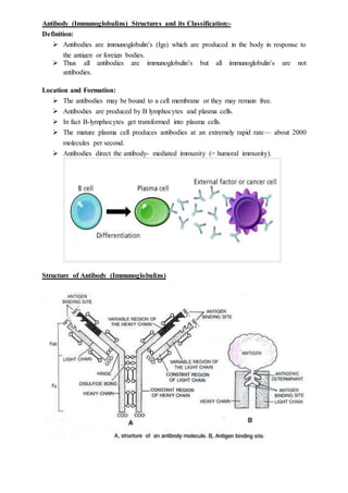 Antibody (Immunoglobulins) Structures and its Classification:-
Definition:
 Antibodies are immunoglobulin’s (Igs) which are produced in the body in response to
the antigen or foreign bodies.
 Thus all antibodies are immunoglobulin’s but all immunoglobulin’s are not
antibodies.
Location and Formation:
 The antibodies may be bound to a cell membrane or they may remain free.
 Antibodies are produced by В lymphocytes and plasma cells.
 In fact B-lymphocytes get transformed into plasma cells.
 The mature plasma cell produces antibodies at an extremely rapid rate— about 2000
molecules per second.
 Antibodies direct the antibody- mediated immunity (= humoral immunity).
Structure of Antibody (Immunoglobulins)
 
