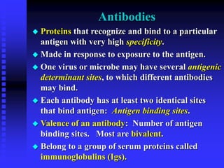 Immunoglobulins