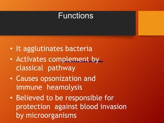 Functions
• It agglutinates bacteria
• Activates complement by
classical pathway
• Causes opsonization and
immune heamolysis
• Believed to be responsible for
protection against blood invasion
by microorganisms
 