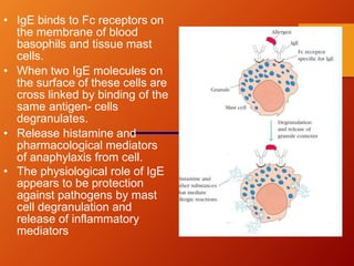 • IgE binds to Fc receptors on
the membrane of blood
basophils and tissue mast
cells.
• When two IgE molecules on
the surface of these cells are
cross linked by binding of the
same antigen- cells
degranulates.
• Release histamine and
pharmacological mediators
of anaphylaxis from cell.
• The physiological role of IgE
appears to be protection
against pathogens by mast
cell degranulation and
release of inflammatory
mediators
 