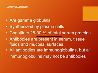 • Are gamma globulins
• Synthesized by plasma cells
• Constitute 25-30 % of total serum proteins
• Antibodies are present in serum, tissue
fluids and mucosal surfaces.
• All antibodies are immunoglobulins, but all
immunoglobulins may not be antibodies
IMMUNOGLOBULIN
 