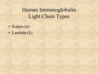 Human Immunoglobulin
Light Chain Types
• Kappa (κ)
• Lambda (λ)
 