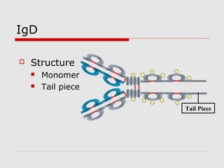 IgD

   Structure
       Monomer
       Tail piece

                     Tail Piece
 