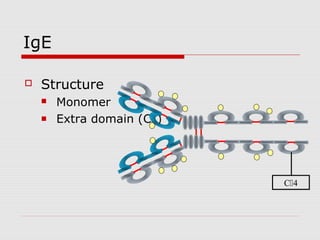 IgE

   Structure
       Monomer
       Extra domain (CH4)




                             C4
 