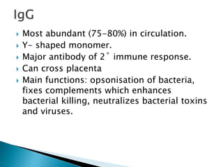  Most abundant (75-80%) in circulation.
 Y- shaped monomer.
 Major antibody of 2˚ immune response.
 Can cross placenta
 Main functions: opsonisation of bacteria,
fixes complements which enhances
bacterial killing, neutralizes bacterial toxins
and viruses.
 