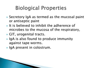  Secretory IgA as termed as the mucosal paint
or antiseptic paint
 It is believed to inhibit the adherence of
microbes to the mucosa of the respiratory,
 GIT, urogenital tracts.
 IgA is also found to produce immunity
against tape worms.
 IgA present in colostrum.
 