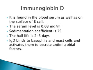  It is found in the blood serum as well as on
the surface of B cell.
 The serum level is 0.03 mg/ml
 Sedimentation coefficient is 7S
 The half life is 2-3 days
 IgD binds to basophils and mast cells and
activates them to secrete antimicrobial
factors.
 