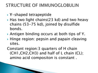  Y-shaped tetrapeptide
 Has two light chains(23 kd) and two heavy
chains (53-75 kd), joined by disulfide
bonds.
 Antigen binding occurs at both tips of Y.
 Hinge region: pepsin and papain cleaving
sites.
Constant region:3 quarters of H chain
(CH1,CH2,CH3) and half of L chain (CL);
amino acid compositon is constant .
 