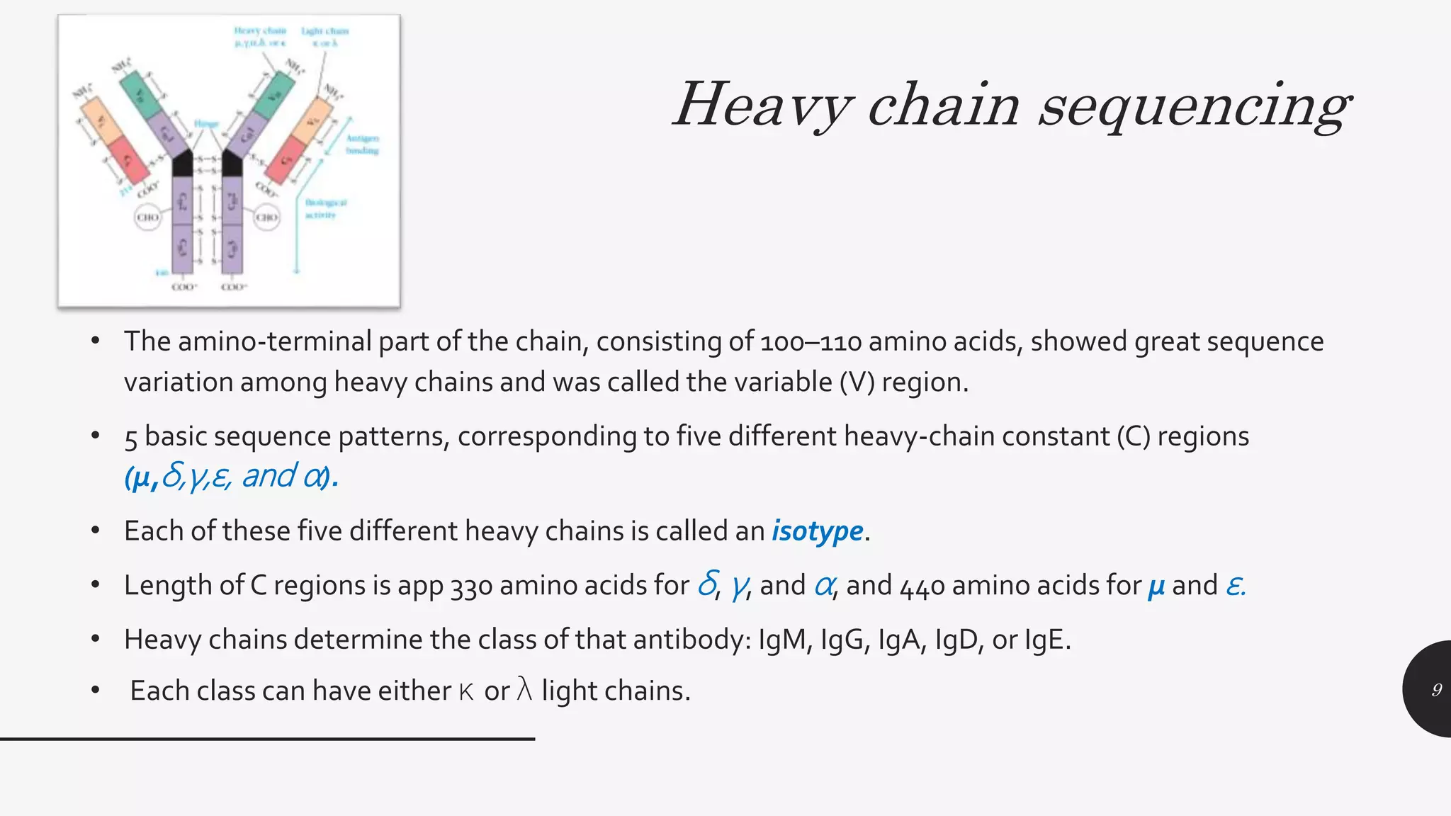 Immunoglobulins – structure, distribution and functions | PPTX